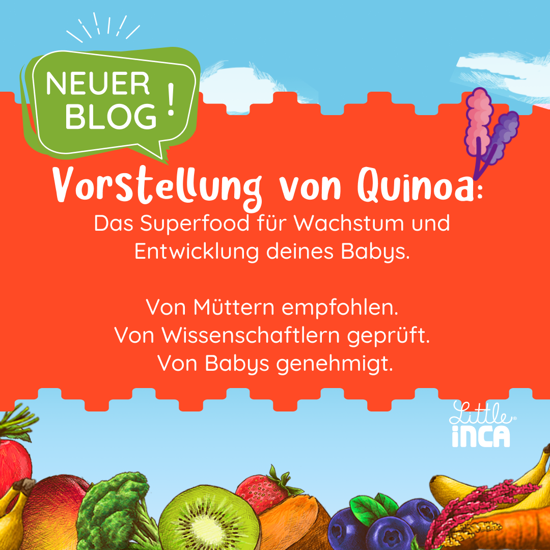 Einführung von Quinoa QuinoaGut Loving